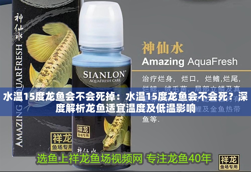 水溫15度龍魚會(huì)不會(huì)死掉：水溫15度龍魚會(huì)不會(huì)死？深度解析龍魚適宜溫度及低溫影響