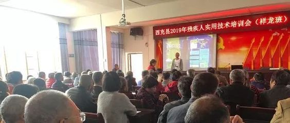 祥龍漁場培訓(xùn)內(nèi)容詳解：祥龍漁場龍魚養(yǎng)殖成功案例分享