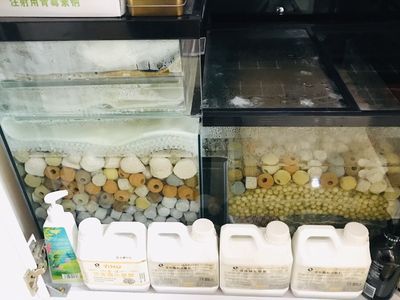 龍魚濾材擺放位置（龍魚濾材的擺放位置對水質和龍魚的健康至關重要）