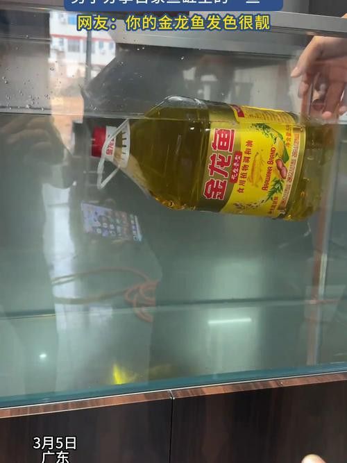 金龍魚一直張嘴呼吸
