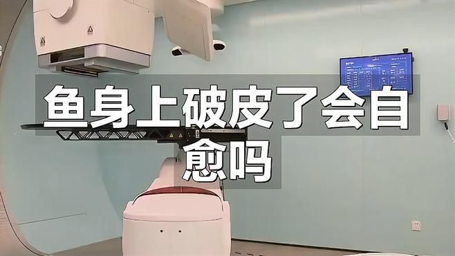錦鯉爛身能自愈嗎？