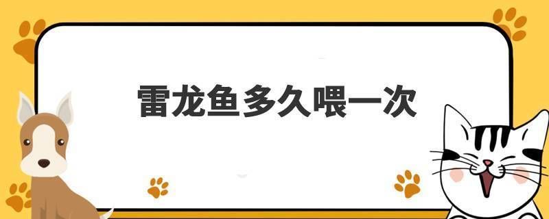 雷龍魚怎么喂飼料：如何訓練雷龍魚吃飼料