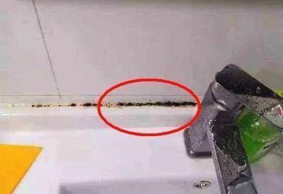 龍魚得水霉菌怎么處理方法：處理龍魚得水霉菌的方法