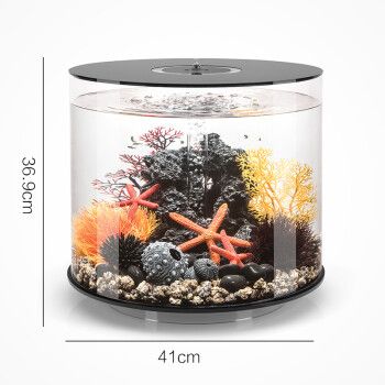 高端龍魚缸品牌排行榜前十名有哪些牌子的（閩江水族魚缸設計案例分享森森龍魚缸設計案例分享）