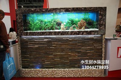 辦公室養金龍魚的風水講究