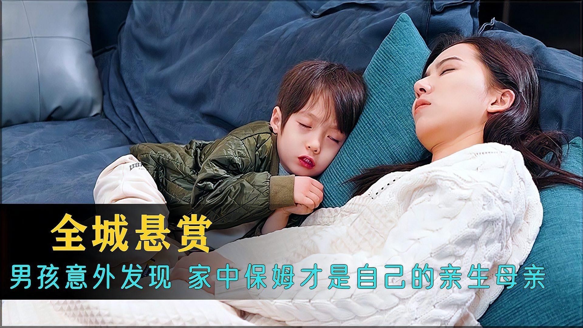 龍貓籠子的價(jià)格范圍是多少？