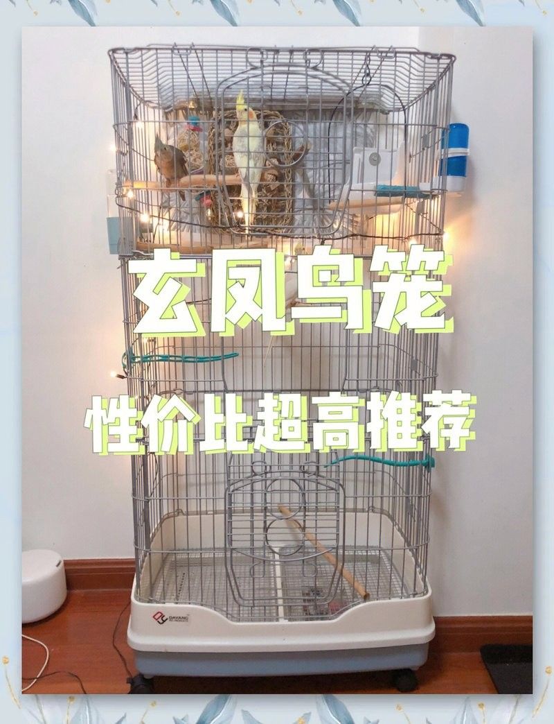 龍貓籠子的價(jià)格范圍是多少？