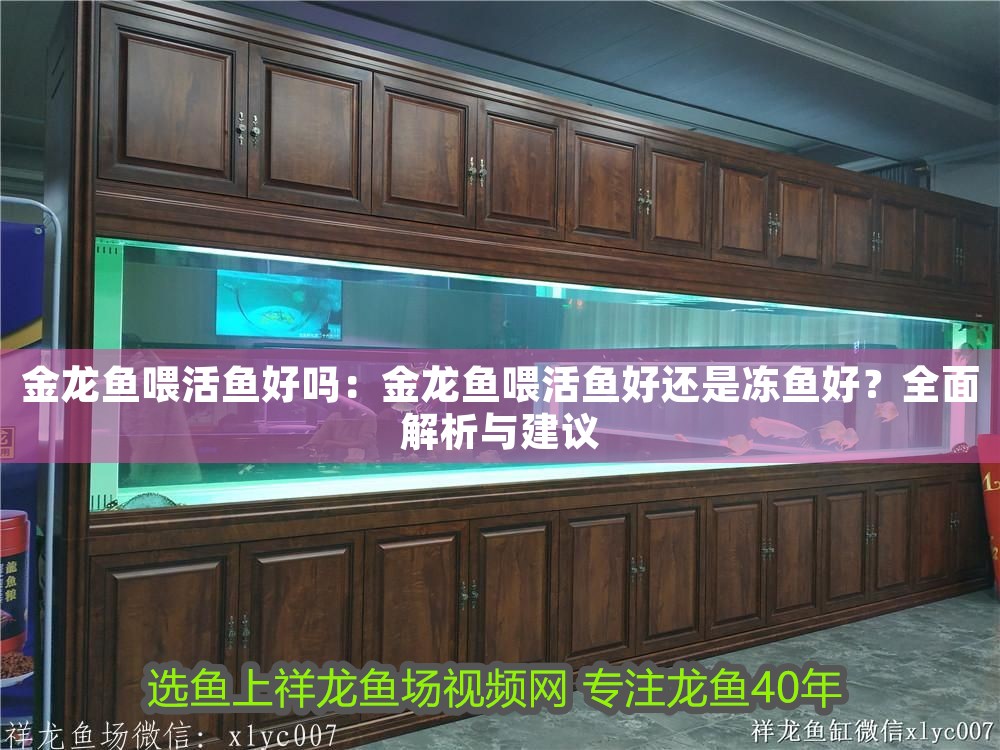 金龍魚喂活魚好嗎：金龍魚喂活魚好還是凍魚好？全面解析與建議