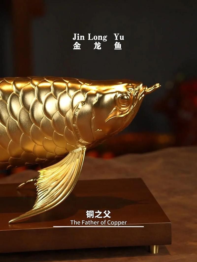金龍魚圖案擺盤圖片欣賞