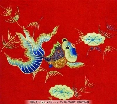 飛鳳和龍魚養在一起會被龍魚吃掉嗎：飛鳳魚和龍魚可以一起養嗎