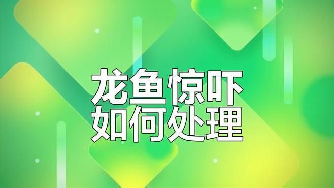 龍魚嚇著了不吃食怎么辦呢 龍魚嚇著了不吃食怎么辦呢 龍魚百科 第3張