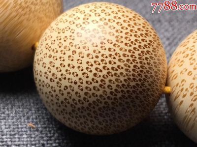 龍魚卵是什么樣子的：關于龍魚卵的一些詳細信息