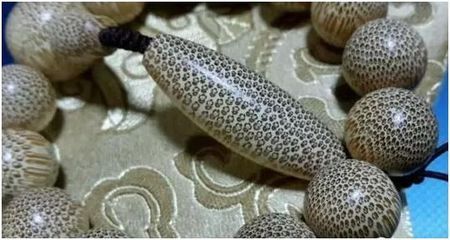 龍魚卵是什么樣子的：關于龍魚卵的一些詳細信息