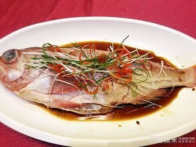 龍魚吃什么飼料去哪個網站：關于龍魚飼料選擇的詳細信息
