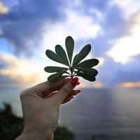 金紅色發(fā)色
