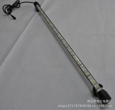 龍魚眼手術多少錢一次：龍魚眼手術的費用受多種因素影響，龍魚眼手術的費用受多種影響