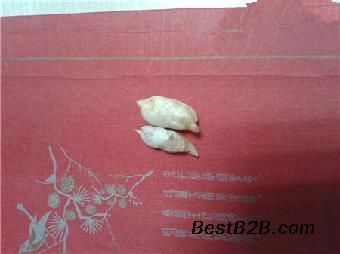 魚寶正規交易平臺