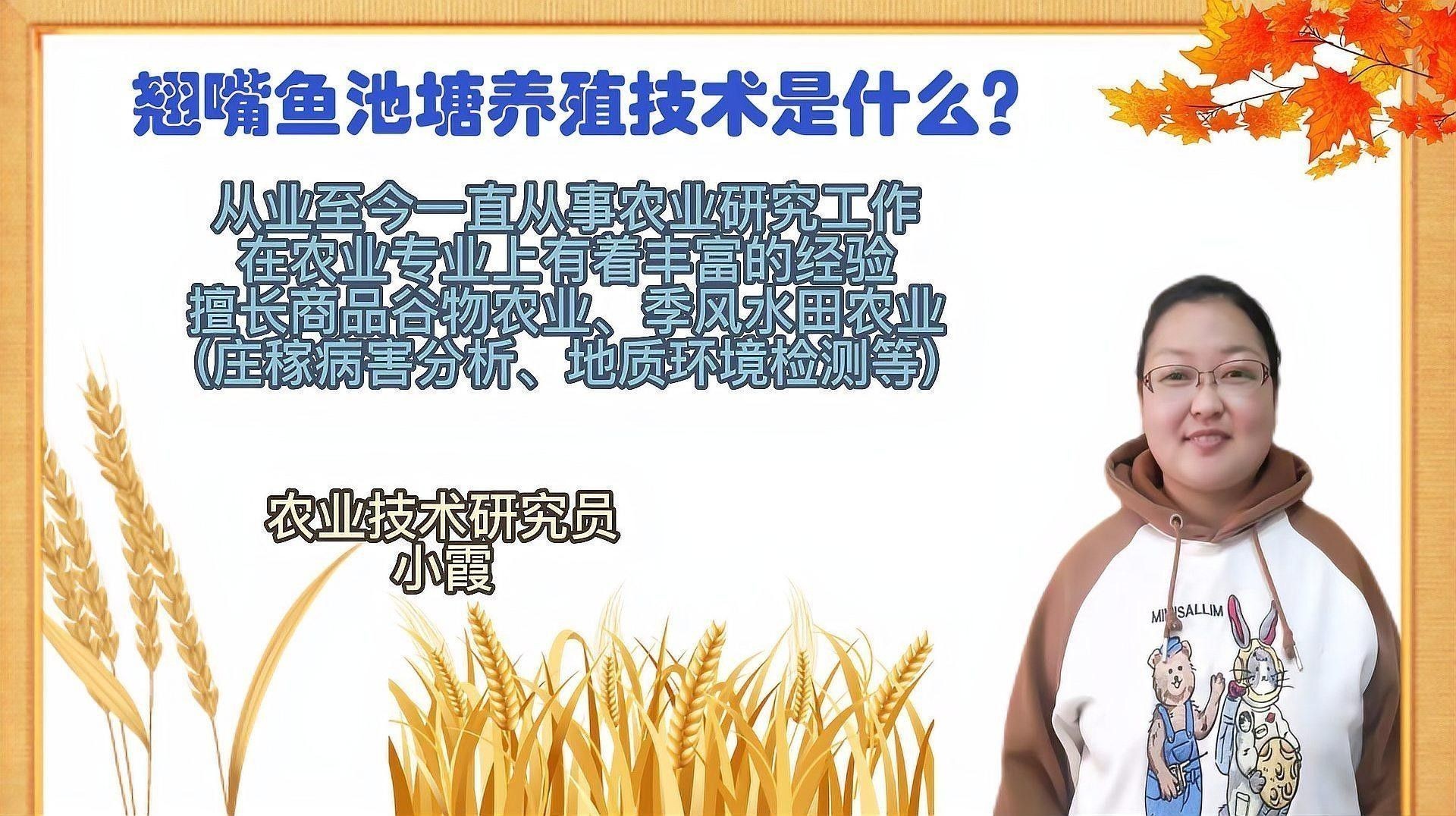 龍魚翹嘴好不好養活呢