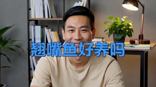 龍魚翹嘴好不好養活呢