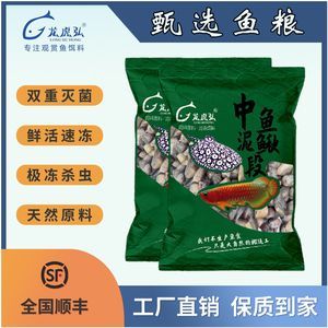 潛心夢徒還有哪些代表作品？