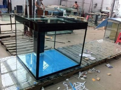 龍魚去哪里批發便宜點（廣州花地灣越和花鳥魚蟲市場、廣州花地灣龍魚批發市場地址查詢）