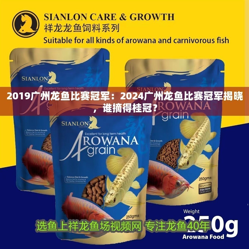 2019廣州龍魚比賽冠軍：2024廣州龍魚比賽冠軍揭曉，誰摘得桂冠？