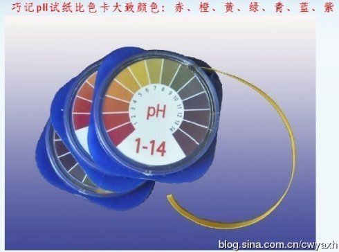 2019廣州龍魚比賽冠軍：2024廣州龍魚比賽冠軍揭曉，誰摘得桂冠？