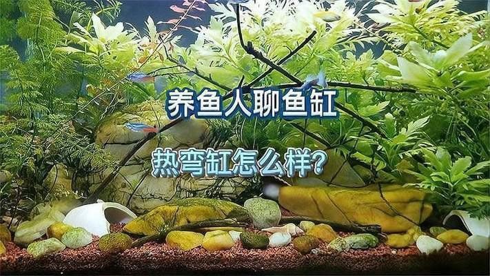 可麗愛一米五魚缸價格