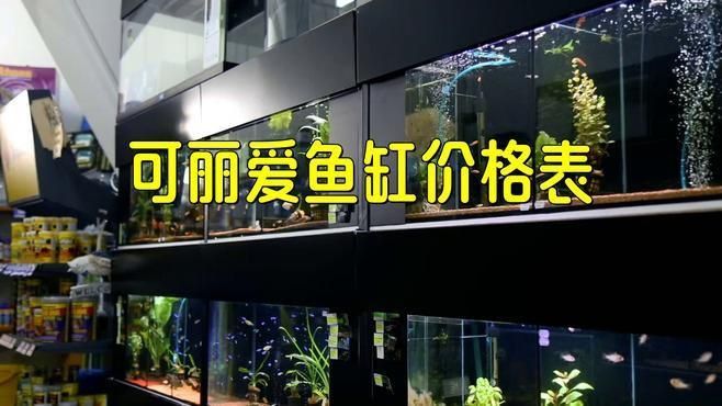 可麗愛一米五魚缸價格