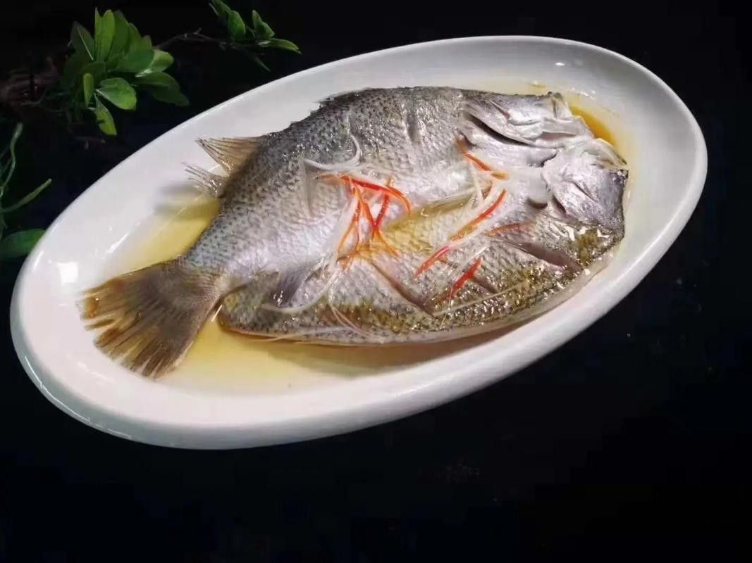 斑尾龍魚圖片大全大圖