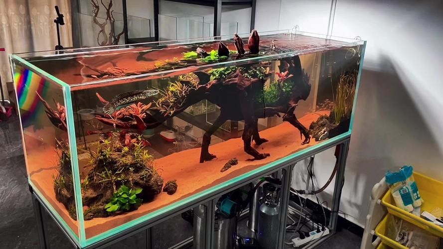 龍魚缸放沉木圖片欣賞大全