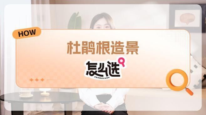 龍魚缸放沉木圖片欣賞大全