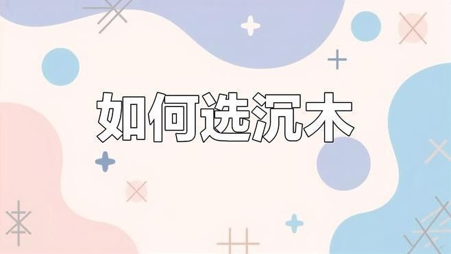龍魚缸放沉木圖片欣賞大全
