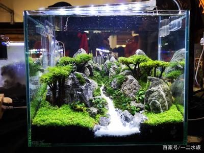 魚缸造景簡單簡約，簡約魚缸造景中的燈光選擇技巧如何維護魚缸生態平衡？