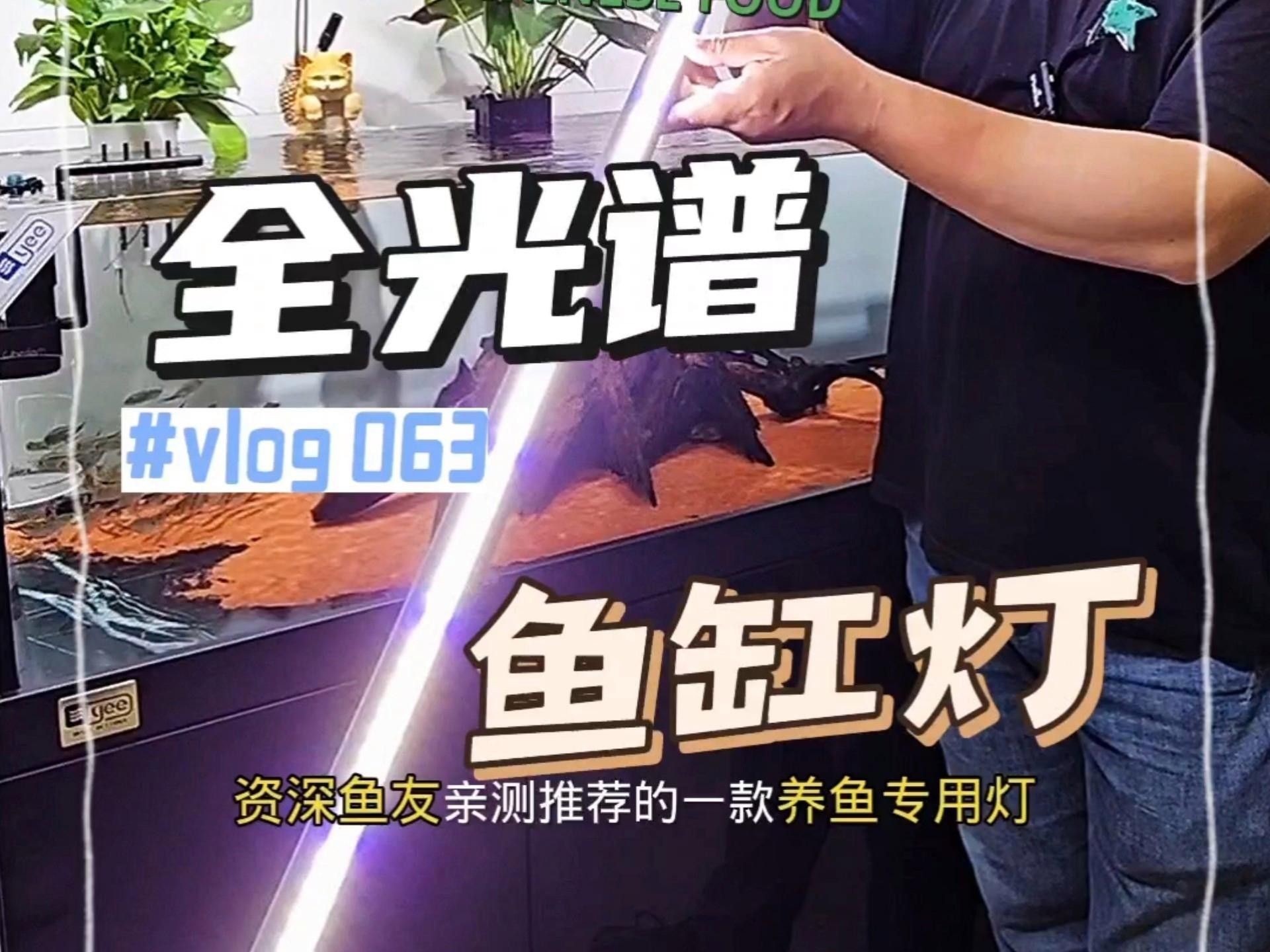 推薦一些適合龍魚缸的LED燈