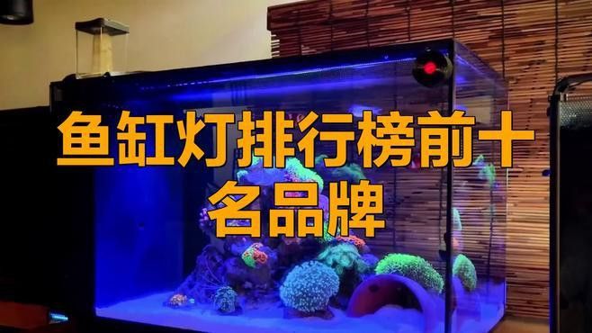 推薦一些適合龍魚缸的LED燈