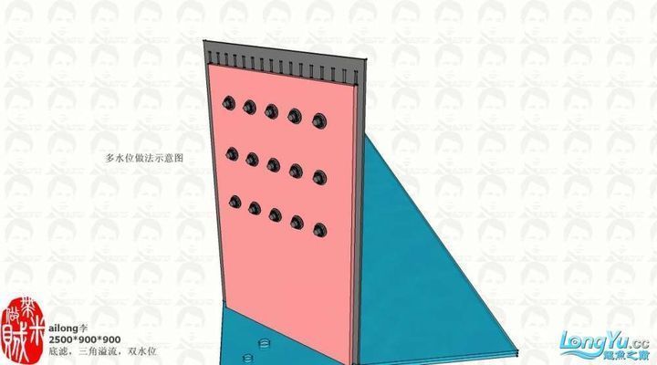 龍魚缸有必要雙水位嗎：龍魚缸是否需要雙水位設計