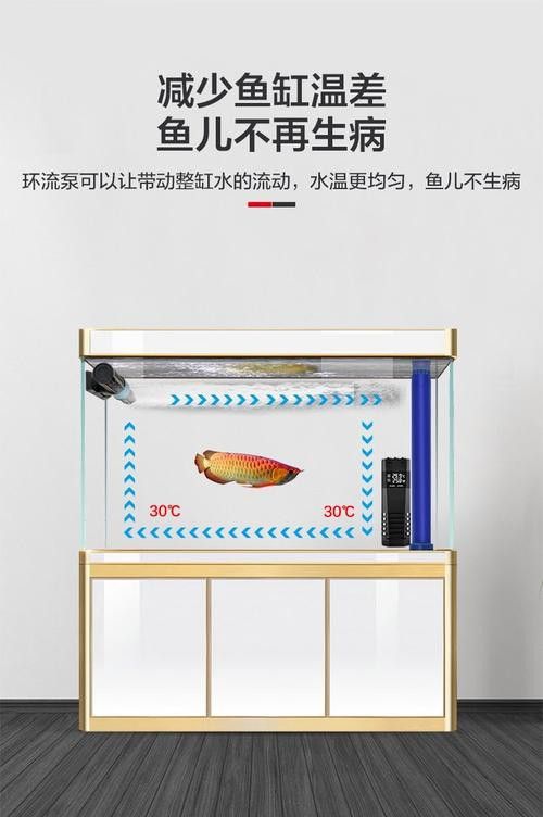 紅龍魚捕食時(shí)需要哪些玩具? 龍魚百科 第2張 紅龍魚捕食時(shí)需要哪些玩具? 紅龍魚捕食時(shí)需要哪些玩具? 龍魚百科 第2張