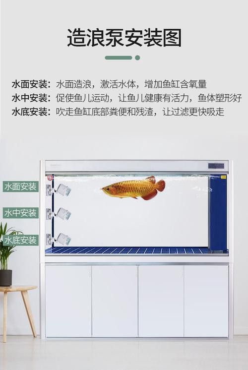 紅龍魚捕食時(shí)需要哪些玩具? 龍魚百科 第4張 紅龍魚捕食時(shí)需要哪些玩具? 紅龍魚捕食時(shí)需要哪些玩具? 龍魚百科 第4張