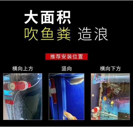 紅龍魚捕食時(shí)需要哪些玩具? 龍魚百科 第3張 紅龍魚捕食時(shí)需要哪些玩具? 紅龍魚捕食時(shí)需要哪些玩具? 龍魚百科 第3張