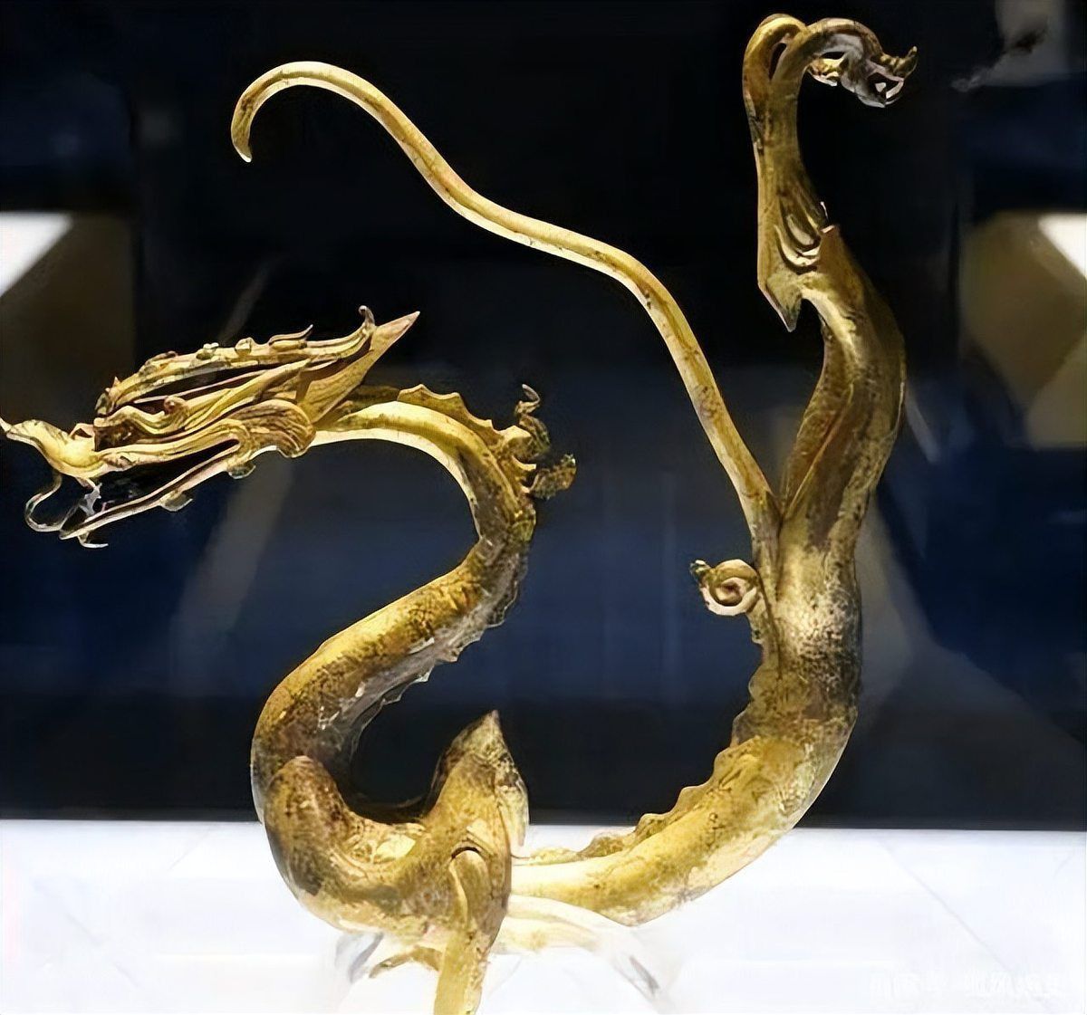 古典金龍市場價格