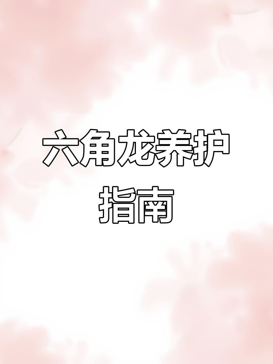 如何預防六角龍魚疾病？