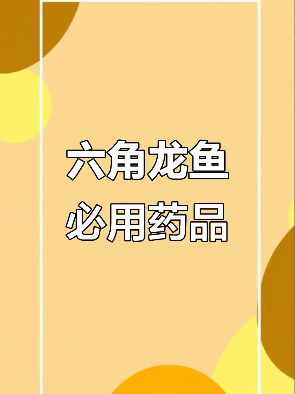 如何預防六角龍魚疾病？