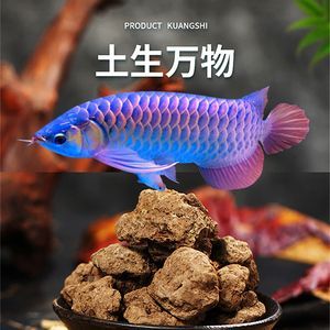 黑水對龍魚發色到底有用沒：黑水對龍魚發色到底有用沒有