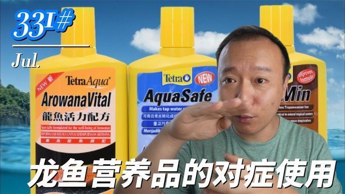 薩德斯塔龍魚怎么樣繁殖：薩德斯塔龍魚怎么樣繁殖薩德斯塔龍魚的繁殖方法