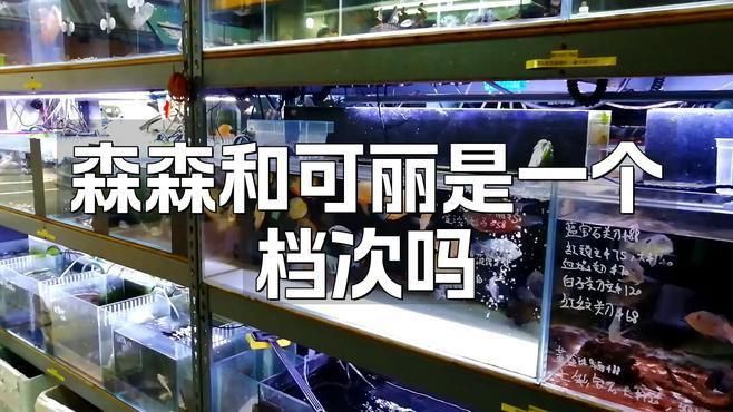 可麗愛和森森哪個檔次高