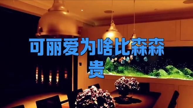 可麗愛和森森哪個檔次高