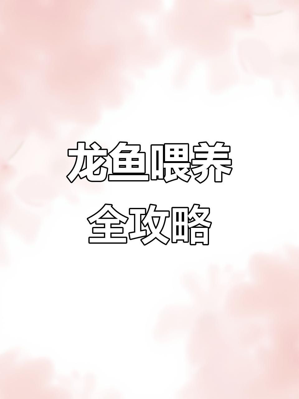 古典龍魚中期階段如何飼養？