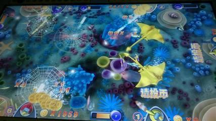 龍騰四海龍魚芯片查詢：關于龍騰四海龍魚芯片查詢的具體方法是一些可能的途徑