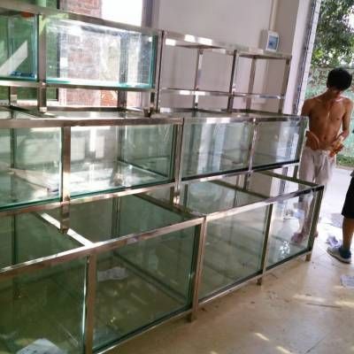 龍魚(yú)身子歪斜：龍魚(yú)身子歪斜可能由多種因素引起